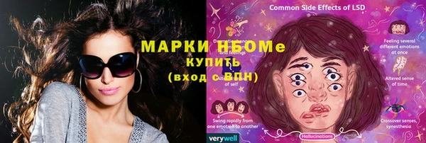 дживик Ельня