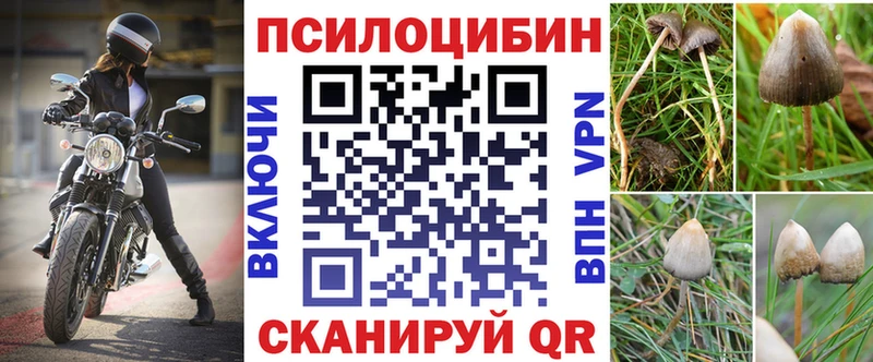 Галлюциногенные грибы Psilocybine cubensis  Астрахань 